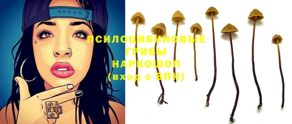 прущие крисы Зеленодольск
