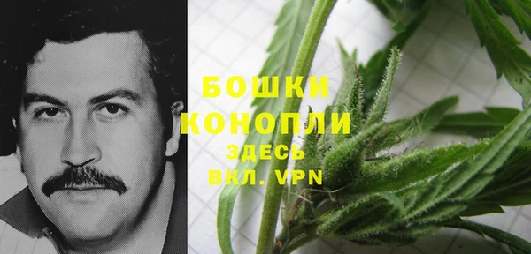 дживик Зерноград