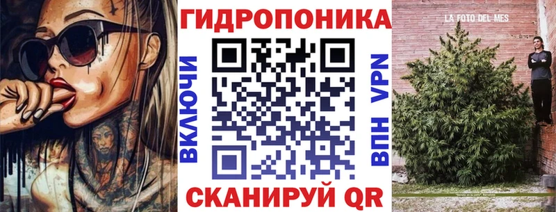 Купить где  Новоржев  Конопля Ganja 